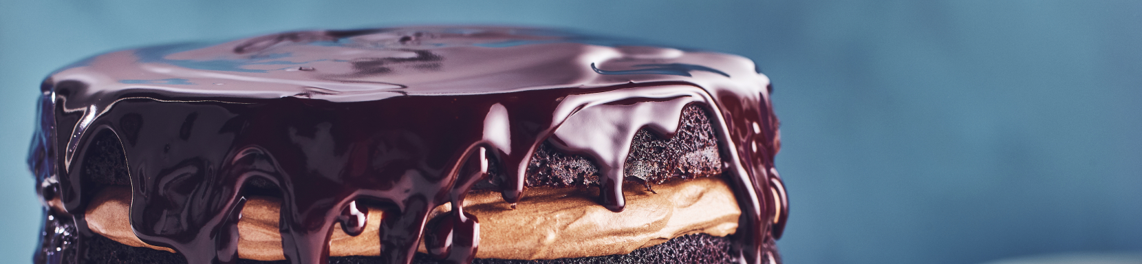 Decadent Dark Chocolate Beer Cake